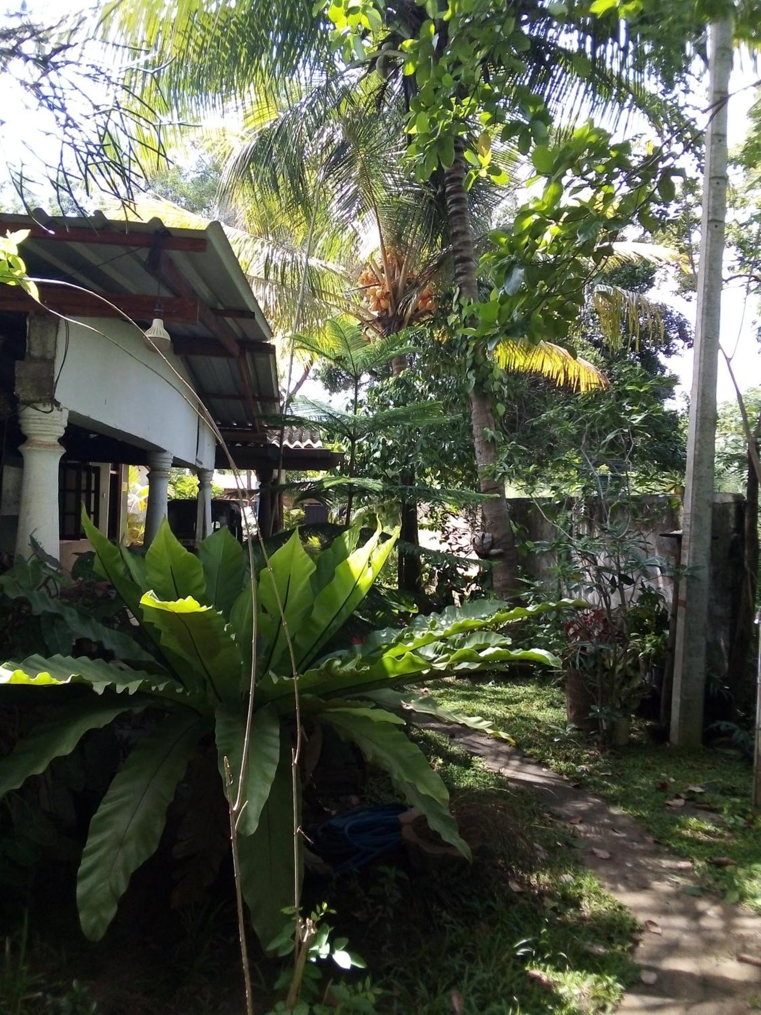 Bandula Home Stay Sigiriya Eksteriør billede